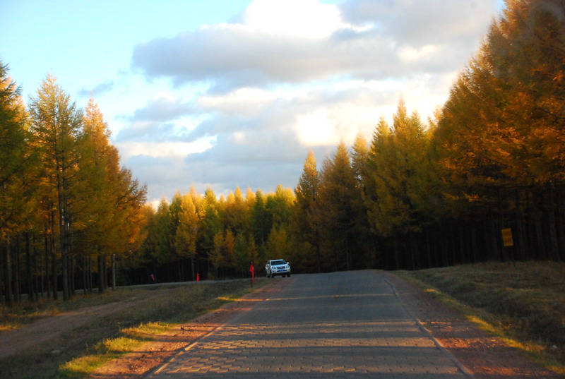 dsc_1145.jpg