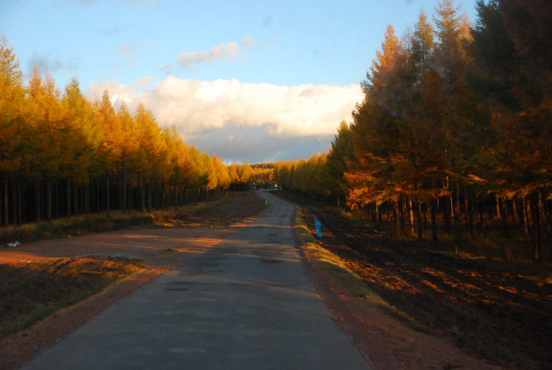 dsc_1158.jpg