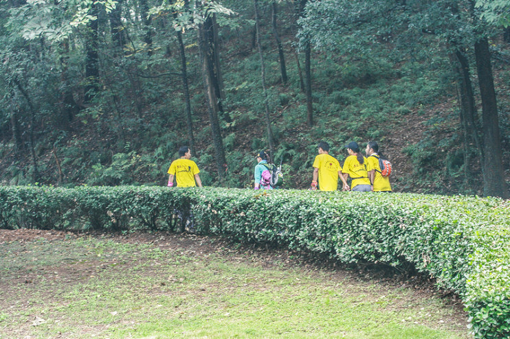 20121114971063325.jpg