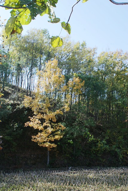 dsc03127.jpg