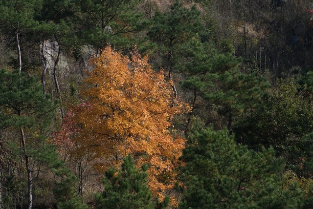 dsc03151.jpg
