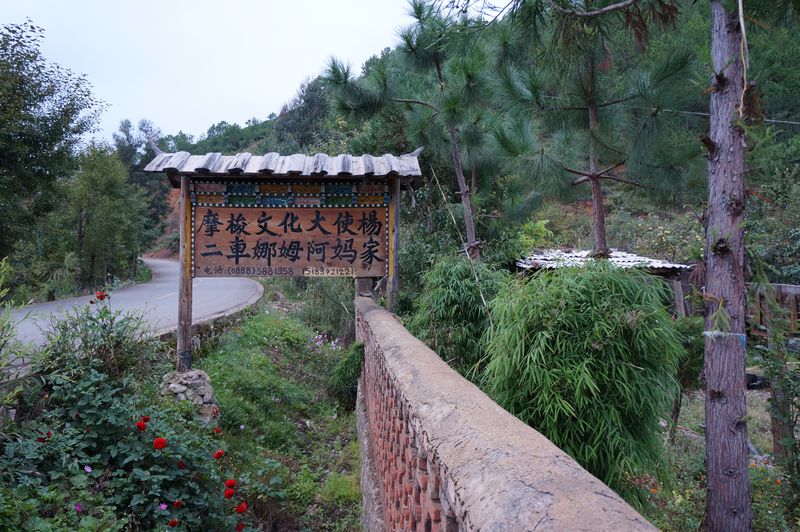 dsc02544a.jpg