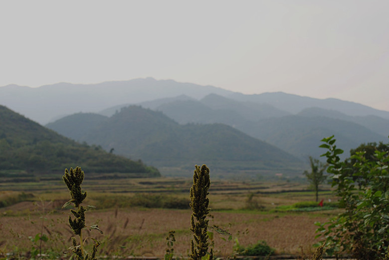 dsc_0089__.jpg
