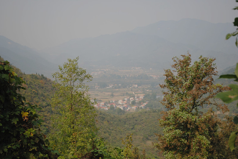 dsc_0028__.jpg