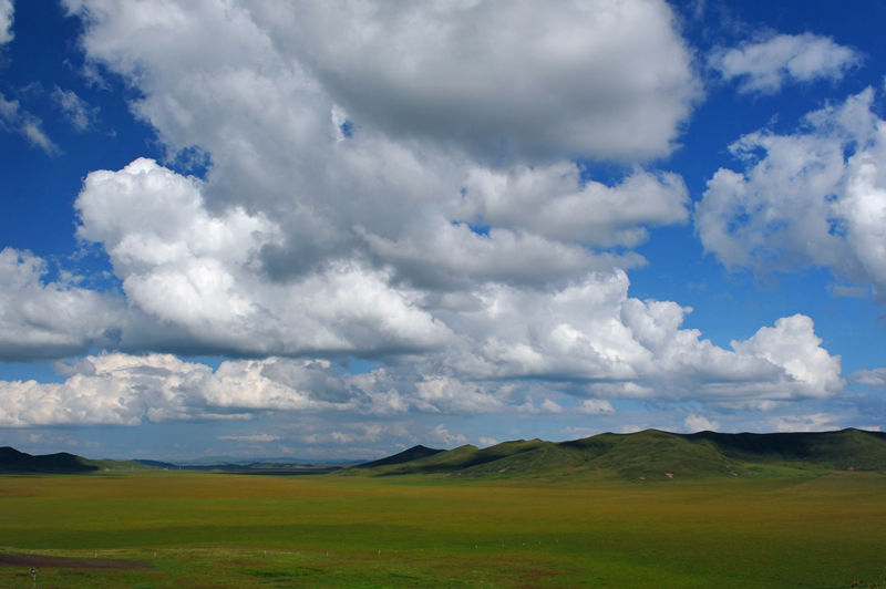 125.jpg