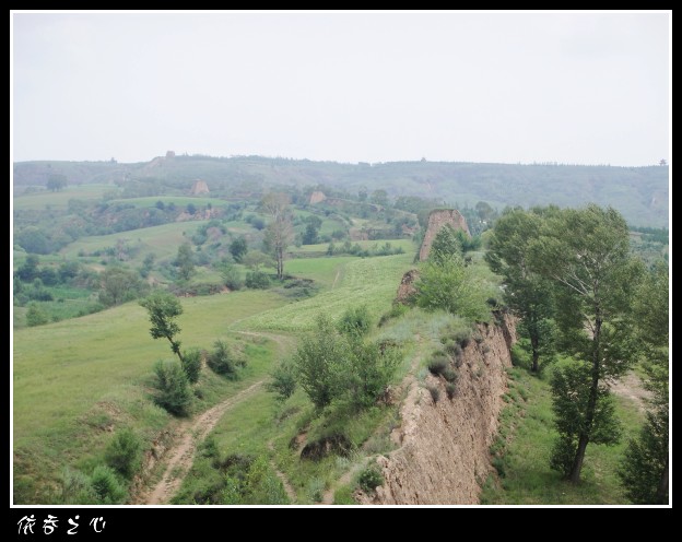 dsc07000_conew1.jpg