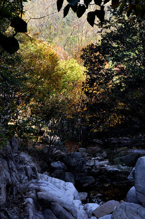 dsc_0173___.jpg