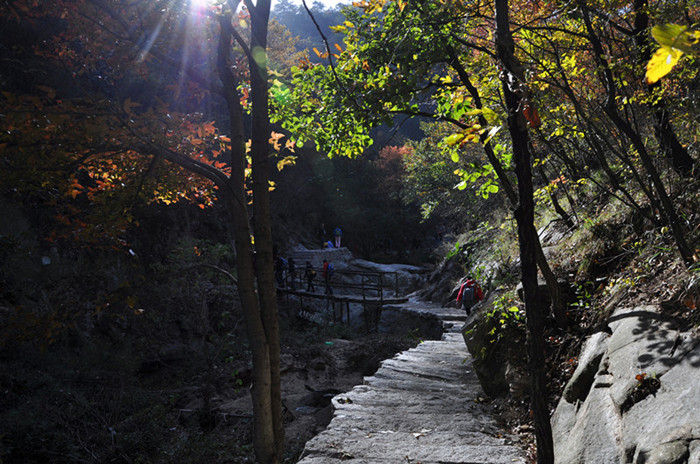 dsc_0176___.jpg