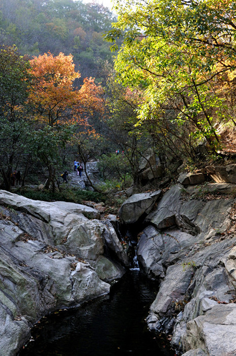 dsc_0178___.jpg