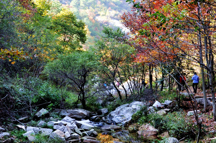 dsc_0186___.jpg