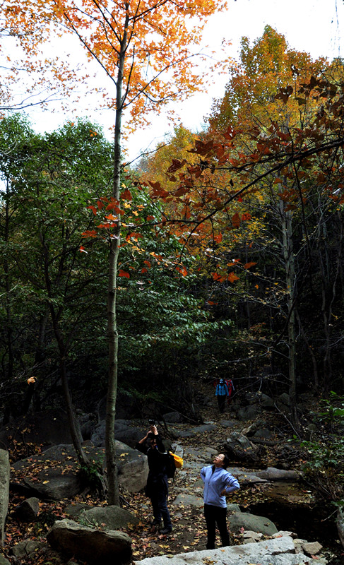 dsc_0200__.jpg