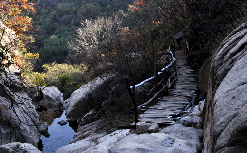 dsc_0212__.jpg