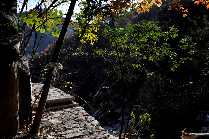 dsc_0215__.jpg