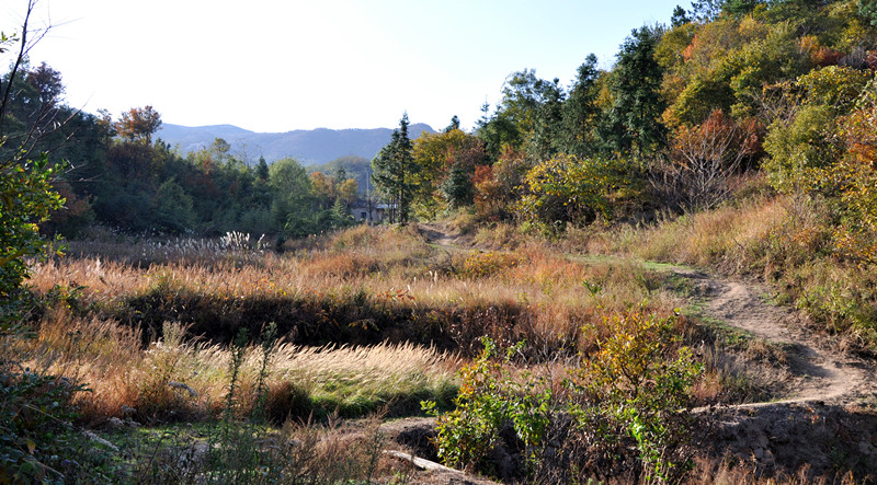 dsc_0228__.jpg