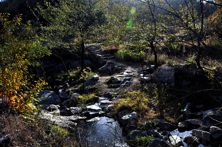 dsc_0239___.jpg