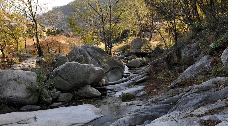 dsc_0244__.jpg
