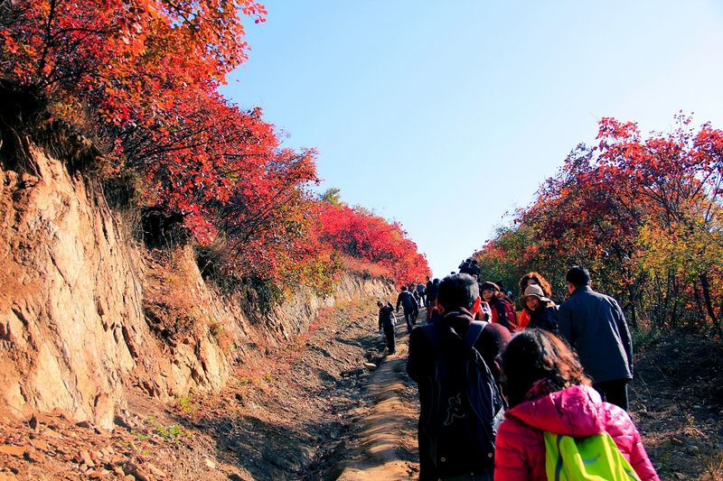 _mg_9100.jpg