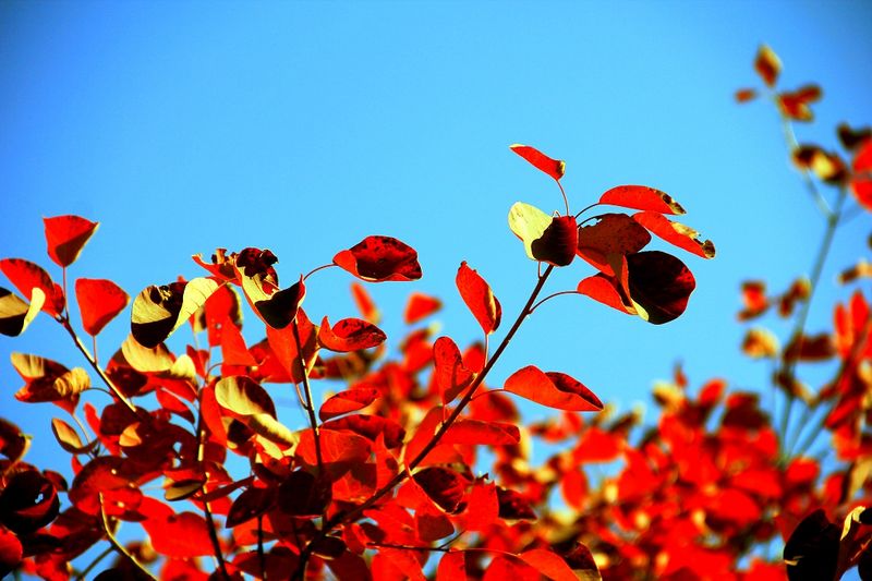 _mg_9151.jpg