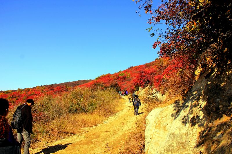 _mg_9209.jpg