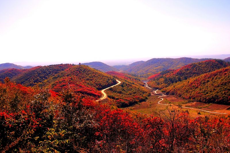 _mg_9339.jpg