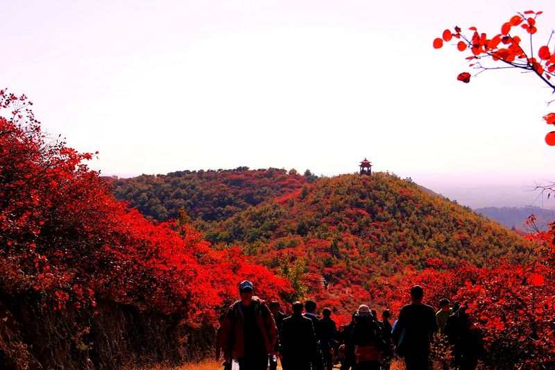 _mg_9346.jpg
