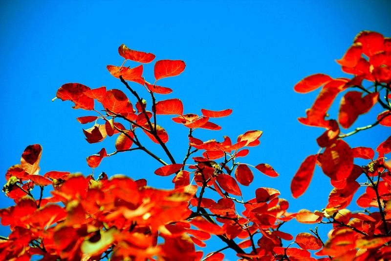 _mg_9371.jpg