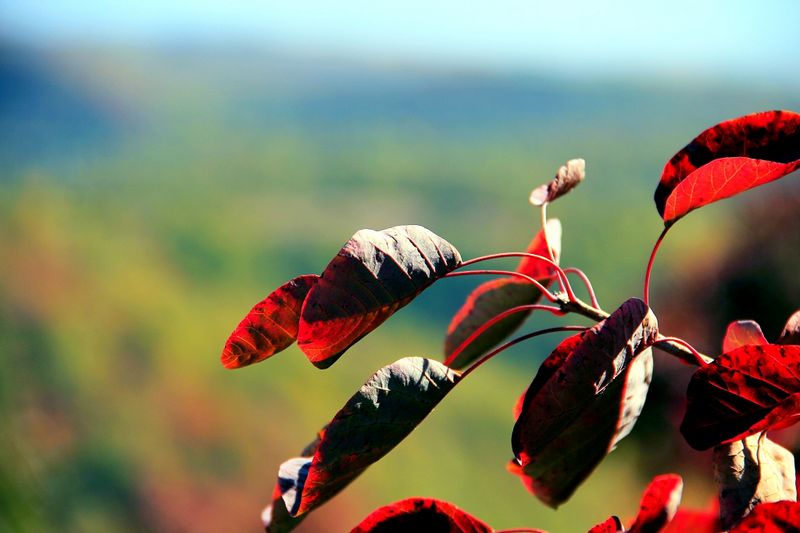 _mg_9373.jpg