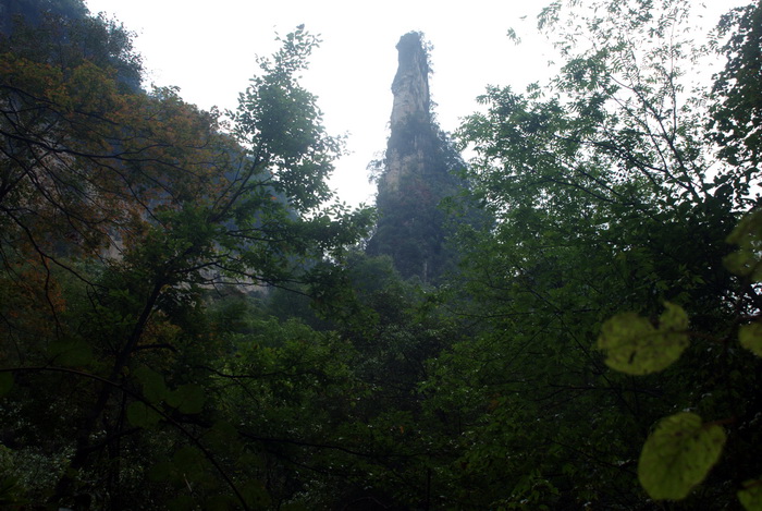 dsc_0202.jpg