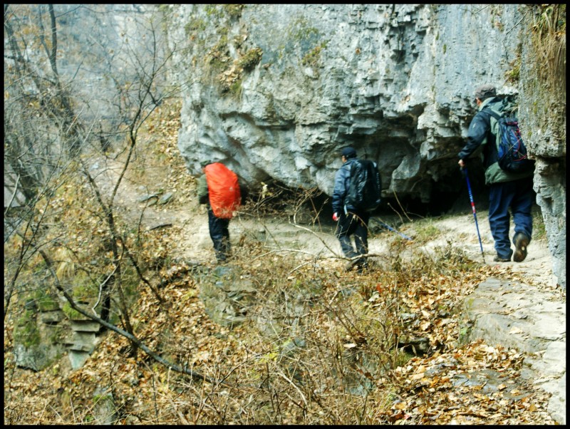 conew_dsc05834_conew1.jpg