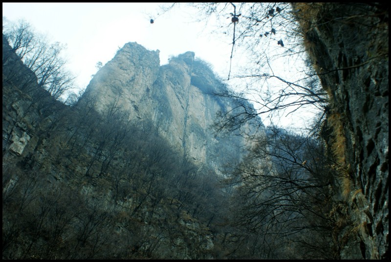 conew_dsc05840_conew1.jpg