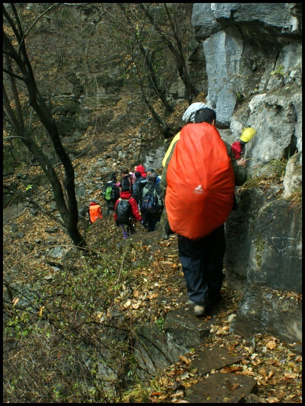 conew_dsc05841_conew1.jpg