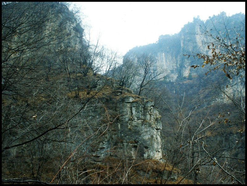 conew_dsc05852_conew1.jpg