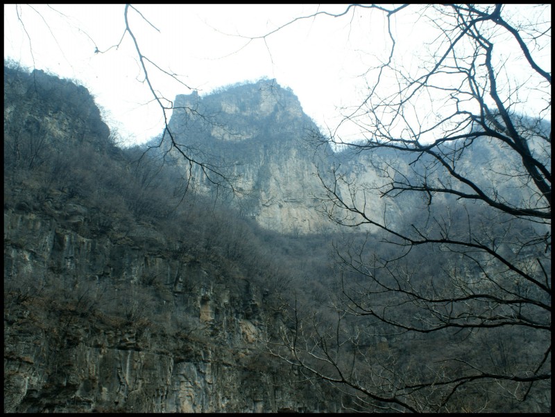 conew_dsc05860_conew1.jpg