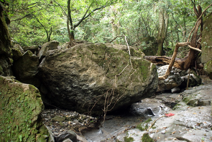 dsc_0214.jpg