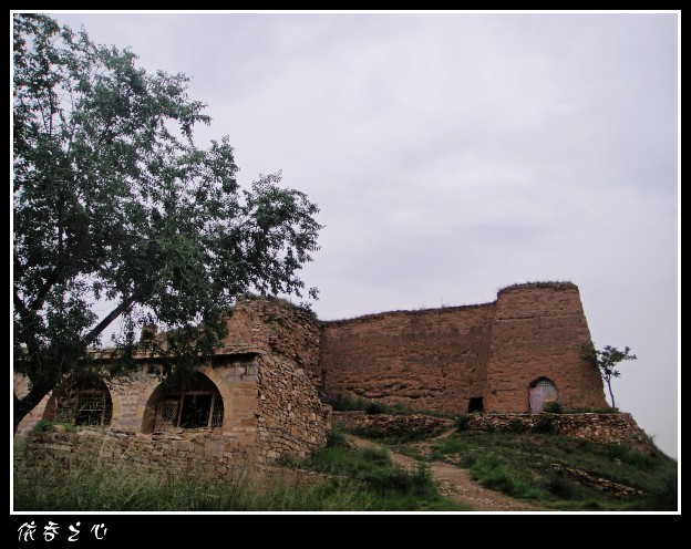 dsc07546_conew1.jpg