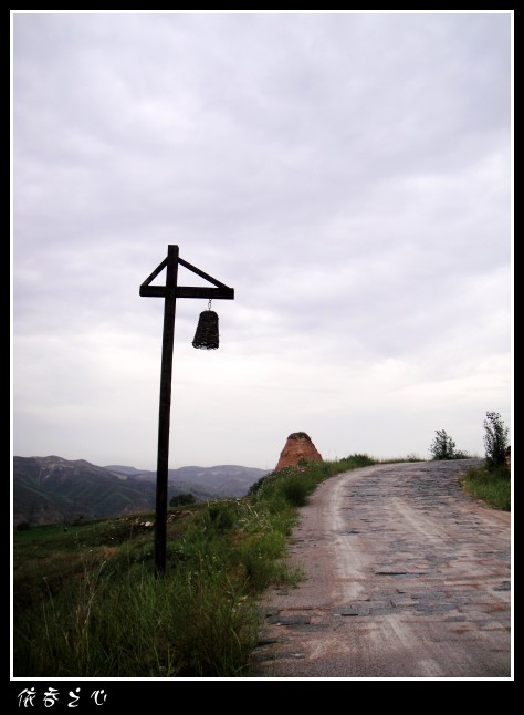 dsc07550_conew1.jpg