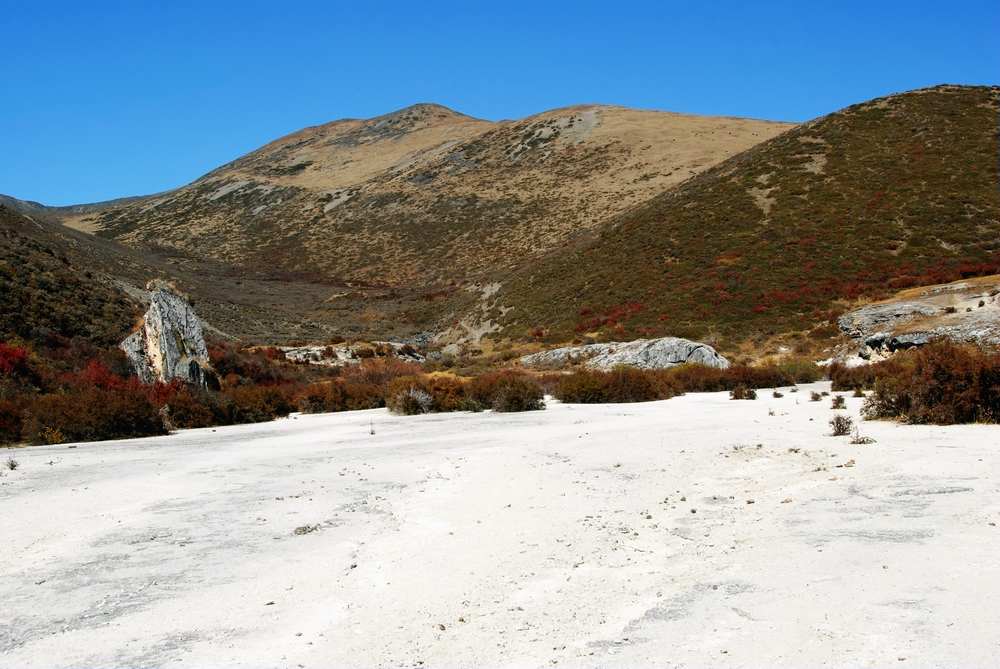 dsc_0967.jpg