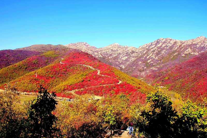 _mg_9608.jpg