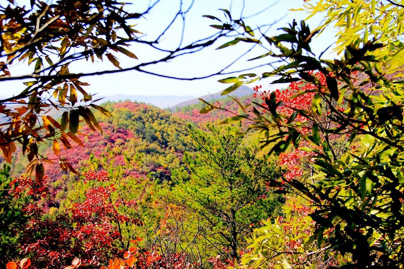 _mg_9638.jpg