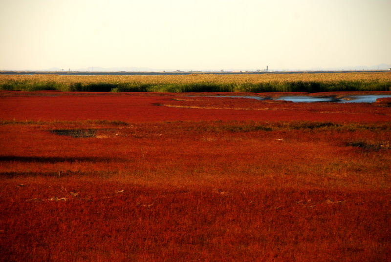 dsc_1703.jpg