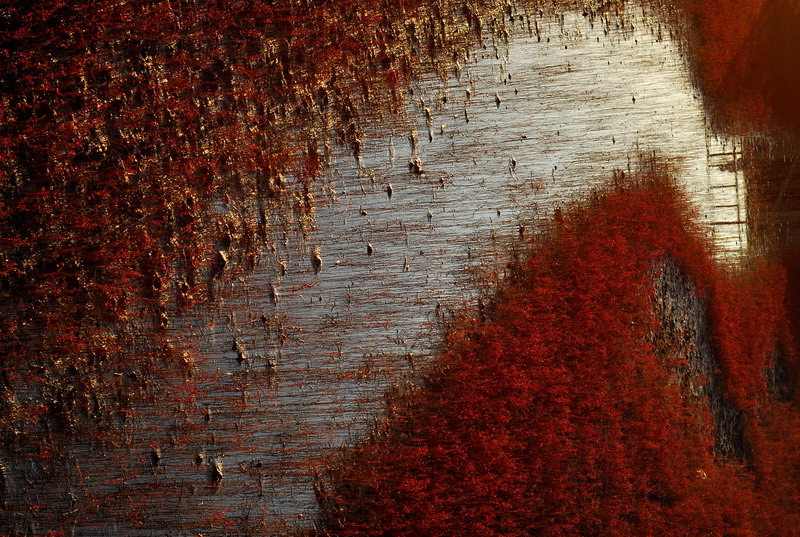 dsc_1724.jpg