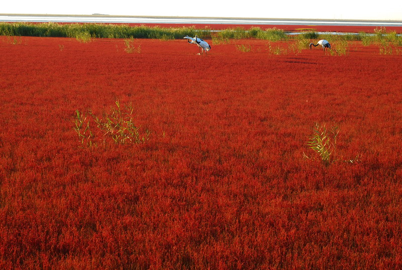 dsc_1734.jpg