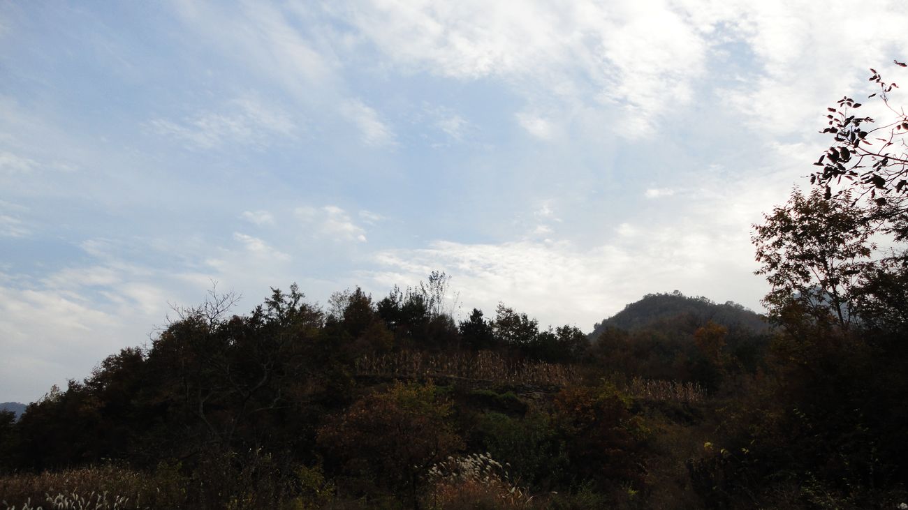 neo_img_dsc09594.jpg