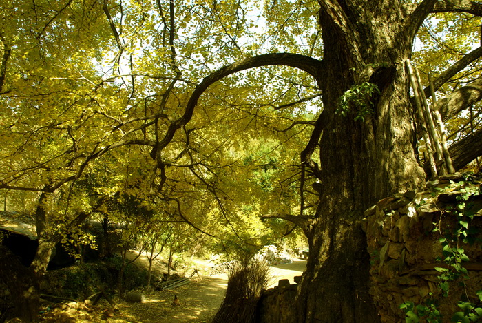 dsc_0224.jpg