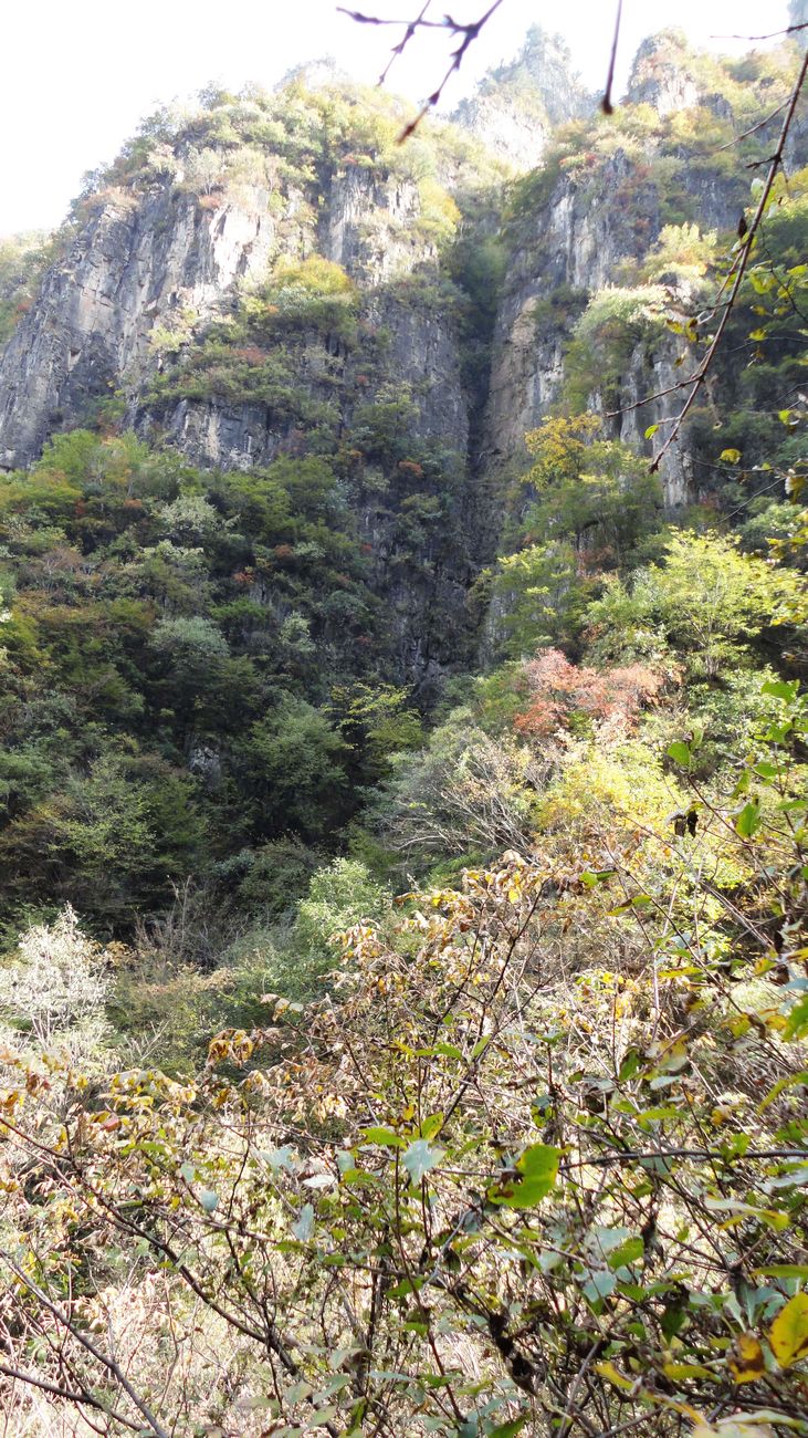 neo_img_dsc09726.jpg
