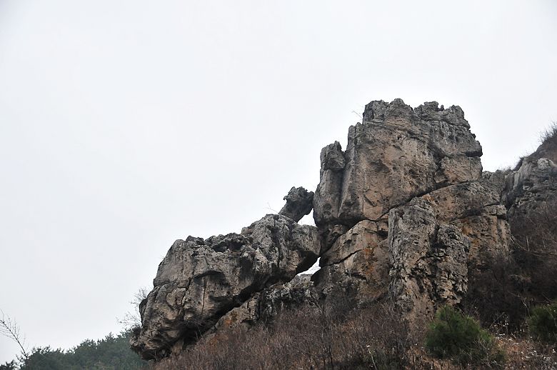 dsc_7573.jpg