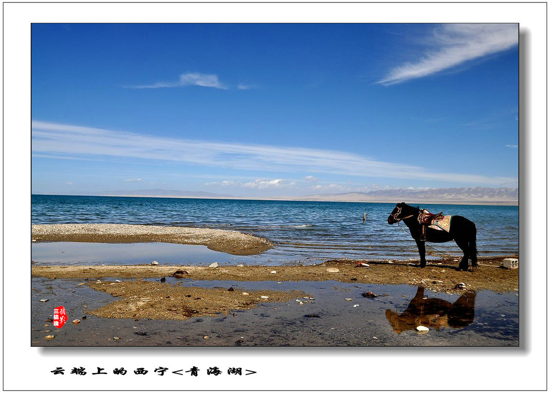 dsc_0516.jpg