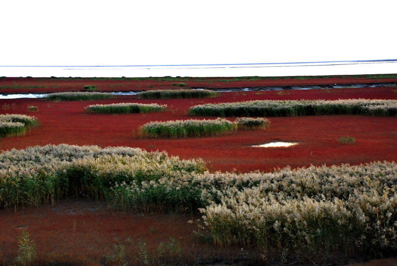dsc_1867.jpg