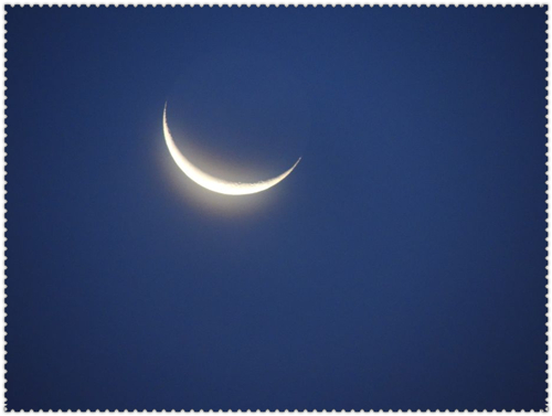 dscn0502_.jpg