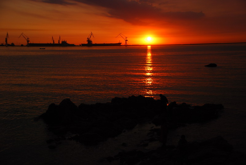 dsc_1952.jpg